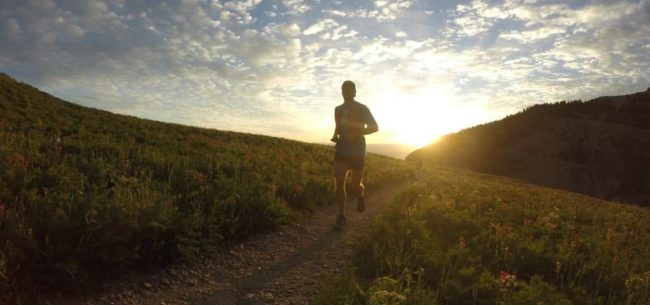 coure-sauternais-raisin-dor-2022